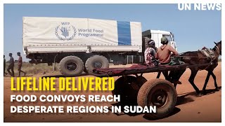 Food convoys reach desperate regions in Sudan [upl. by Audly381]