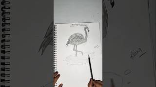 Flamingo drawing 🦩 [upl. by Stalker996]