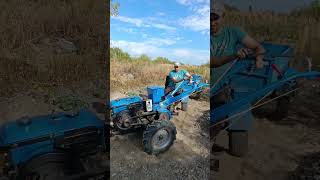 MINI TRACTOR IN WORK shorts minitractor [upl. by Chon]