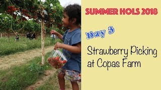 Summer Hols 2018  Day 3  Strawberry Picking at Copas Farm [upl. by Guyon]