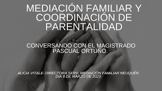 MEDIACIÓN FAMILIAR Y COORDINACIÓN DE PARENTALIDAD [upl. by Aidole]