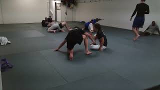 nogi bjj with carly [upl. by Serafina451]