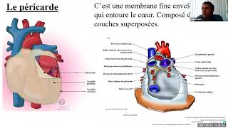 Le Système Cardiovasculaire  Cours Complet [upl. by Tereb]