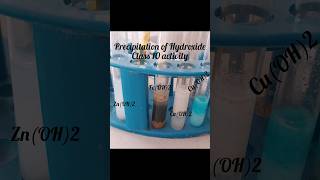 Precipitation of hydroxides class 10 chemistry [upl. by Sorvats]