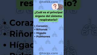 ¿Cuánto sabes de los pulmones preguntasyrespuestas preguntadeldía anatomia medicina pulmones [upl. by Annais]