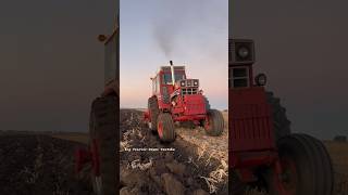 INTERNATIONAL 1566 Tractor Plowing bigtractorpower internationalharvester tractor caseih plow [upl. by Sergent]