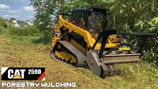 Forestry Mulching with a CAT 259D  FAE 150 Mulcher [upl. by Nimajaneb346]