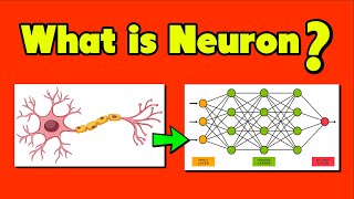 What is Neuron in Deep Learning Hindi [upl. by Yanehc112]