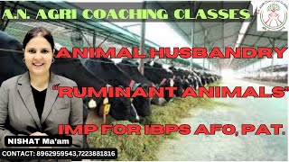 ANIMAL HUSBANDRY  RUMINANTS  IBPS AFO MAINS  PAT  AGTEACHER [upl. by Yevi245]