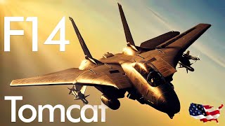 F14 Tomcat  Supersonic fighter  Star of the movie Top Gun  Upscaled video [upl. by Proudman936]