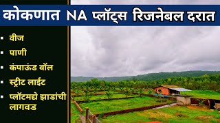 PN105 NA plots for sale pridekokan sindhudurg NA plot [upl. by Idelle]