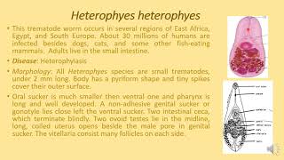 Helminthology Lec 3 [upl. by Carrie114]