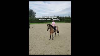 🫶🏻🫶🏻 pourtoi horse poney equestrian petitpony cheval chevalpassion eventing fiona pony [upl. by Zela]