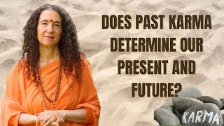 Does Past Karma Determine Our Present and Future [upl. by Ricki]