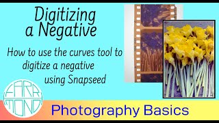 Digitizing a negative image using the free Snapseed app [upl. by Frechette]