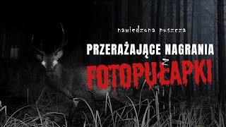 Przerażające nagrania uchwycone na fotopułapce [upl. by Quincey]