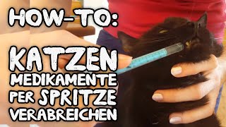 HowTo Katze Medikament mit Spritze geben zB bei Niereninsuffizienz  Diabetes [upl. by Kcim]