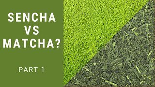 The Difference Between Matcha amp Sencha Japanese Green Tea Part 1  6 WAYS THAT THESE VARY [upl. by Wolram]