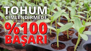 100 TOHUM Çimlendirme nasıl yapılır II tohum tohumdakalite tohum çimlendirme [upl. by Aken451]