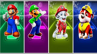 Super Mario 🆚 Luigi 🆚 Paw Patrol Marshall 🆚 Paw Patrol Rubble 🆚 Who Will Win [upl. by Tahp]