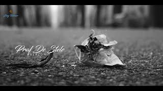 b l a z o n  Praf De Stele Official Video [upl. by Eikin307]