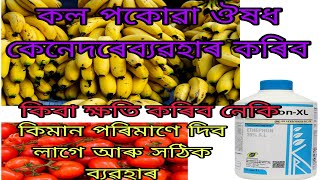 কল‌ পকোৱা ঔষধ কেনেদৰে ব্যৱহাৰ কৰিব । Ethephon 39 SL uses in assamese [upl. by Plume]