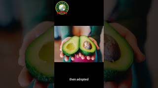 Informatika  Weird Word Origins Avocado [upl. by Augustine]