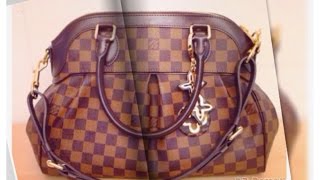 Louis Vuitton Trevi PM in Damier Ebene [upl. by Karla]