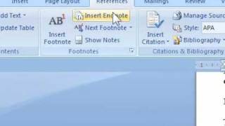 How to insert an endnote [upl. by Kresic144]