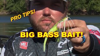 How To Fish A Chatterbait In The Summer  Bass Fishing [upl. by Eimorej]