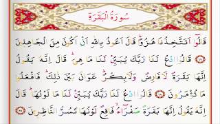 Surah 02 Al Baqarah By Saad Al Ghamdi [upl. by Sparrow]