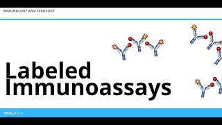 Labeled Immunoassays  An Overview [upl. by Ardnoel831]