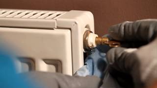 How to Bleed a Radiator  British Gas [upl. by Llennehc]