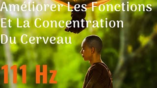 111Hz ✧ La fréquence divine ✧ Régénération et Rajeunissement cellulaire ✧ Méditation profonde ⚛️ [upl. by Emlynn139]