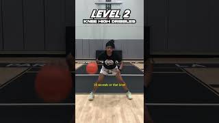 3 Ball Handling Drills For Up amp Coming Hoopers [upl. by Nyad357]