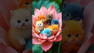 The bird song and flower fragrance bring everyone good mood Magneticlovebirdsshortvideo [upl. by Ewart]