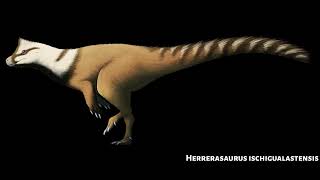 Sounds of Herrerasaurus ischigualastensis [upl. by Ress]