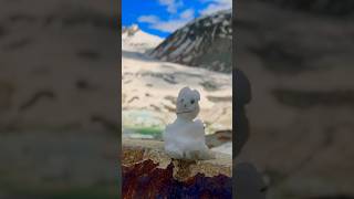 Snowman Rhône Glacier Switzerland 🏔️❄️🇨🇭 hiking switzerland glacier snowman [upl. by Einnej]