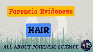 Forensic Evidences  Hair  Forensic Science  TANVI [upl. by Kee862]