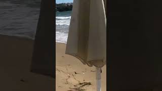 Urlaubsorte türkiye youtubeshorts keşfet beach [upl. by Aubyn]