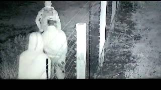 Farm Attackers caught on video in South Africa farm murders [upl. by Helga166]