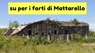 TRENTINO DA SCOPRIRE SU PER I FORTI DI MATTARELLO [upl. by Fradin143]