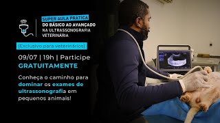 Super Aula do Básico ao Avançado na Ultrassonografia Veterinária [upl. by Notgnirrac]