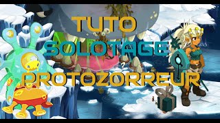 DOFUS  TUTO SOLOTAGE PROTOZORREUR EN FECA   BONUS SCORE 200 [upl. by Creigh372]