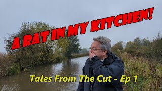 Tales from the Cut Episode 1  The Second Rat [upl. by Semyaj]