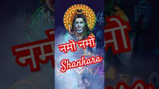 Namo Namo Sankra  Shiva powerful bhajan shorts shiva bholenath [upl. by Llerrud]