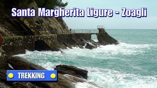 TREKKING Santa Margherita Ligure  Zoagli  Con ilrifugiotrekking  di Sergio Colombini [upl. by Cirre781]