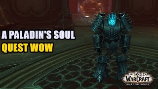 A Paladins Soul Quest WoW [upl. by Refanej798]