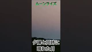 サンセットムーンライズ sunset moonrise 得した気分（笑）癒されます 奄美のカメラ小僧奄美大島希少チャンス日没月出 [upl. by Berey]