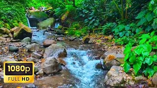 The Best Soothing River amp Mountain Stream for Relaxing Evening Reduce Stress Sleep Meditation [upl. by Marcellus819]